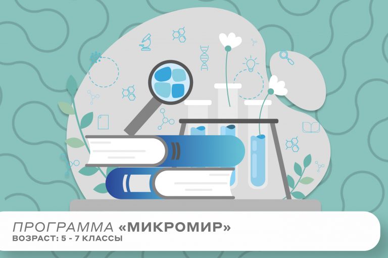 Программа «Микромир»